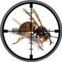 Action Pest Control Ltd 373752 Image 4